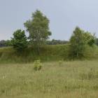 zdjęcie nr 35