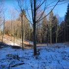 zdjęcie nr 22