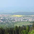 zdjęcie nr 37