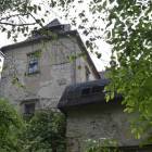 zdjęcie nr 8