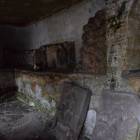 Fotka nr 5 z 13