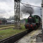 zdjęcie nr 73