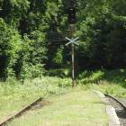 zdjęcie nr 7