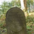 zdjęcie nr 16