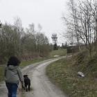 zdjęcie nr 27