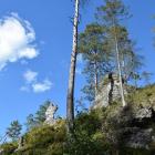 zdjęcie nr 64