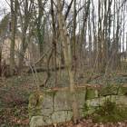 zdjęcie nr 33