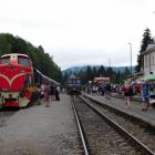 Fotka nr 5 z 15