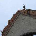 zdjęcie nr 8