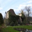 zdjęcie nr 19