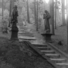 zdjęcie nr 21