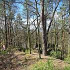 zdjęcie nr 37