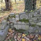 zdjęcie nr 21