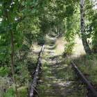 zdjęcie nr 42