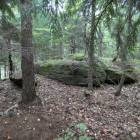 zdjęcie nr 8