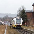 Fotka nr 5 z 13