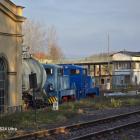 Fotka nr 1 z 21