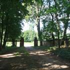 zdjęcie nr 33