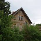 Fotka nr 5 z 19