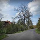 zdjęcie nr 8