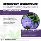 Fotka nr 2 z 14