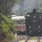 zdjęcie nr 8