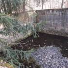 Fotka nr 4 z 13