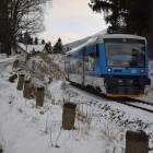 Fotka nr 1 z 4