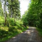 zdjęcie nr 32