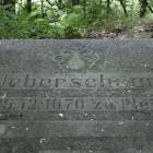 zdjęcie nr 12