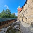zdjęcie nr 42