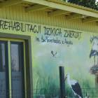 zdjęcie nr 40