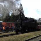 zdjęcie nr 125