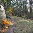 zdjęcie nr 38
