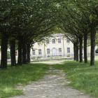 zdjęcie nr 11