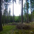 zdjęcie nr 11