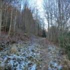 zdjęcie nr 43