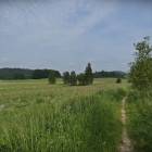 zdjęcie nr 31