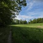 zdjęcie nr 27