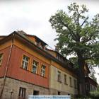zdjęcie nr 8