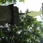 zdjęcie nr 52
