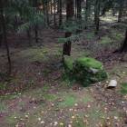 zdjęcie nr 49