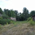zdjęcie nr 9