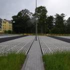 zdjęcie nr 12
