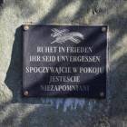 zdjęcie nr 9