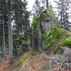 Fotka nr 0 z 11