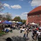 zdjęcie nr 51
