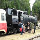 zdjęcie nr 137
