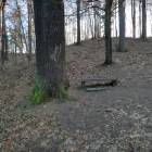 zdjęcie nr 20