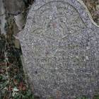 zdjęcie nr 49